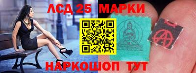гашик Камышлов