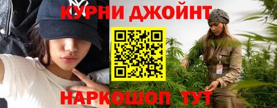 гашик Камышлов