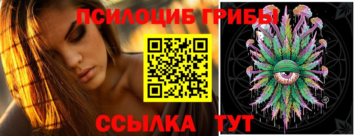 Чернушка  Псилоцибиновые грибы MAGIC MUSHROOMS  Вход с VPN 