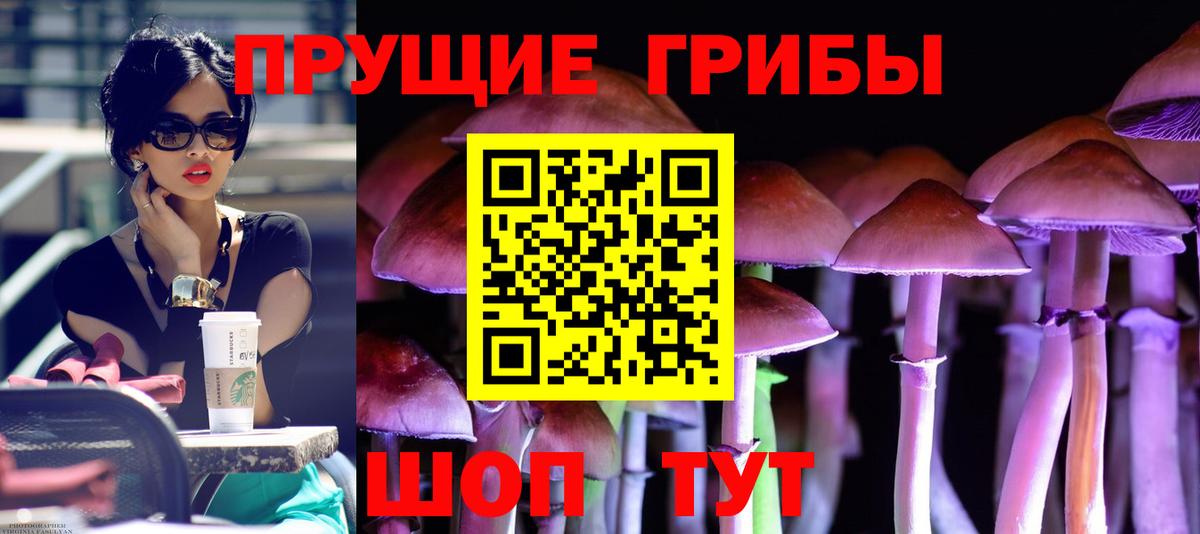Псилоцибиновые грибы Magic Shrooms Чернушка